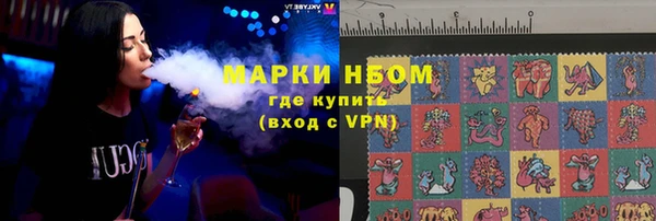 индика Лихославль