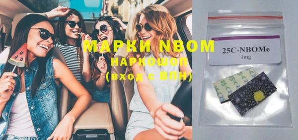 индика Лихославль