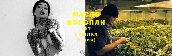индика Лихославль