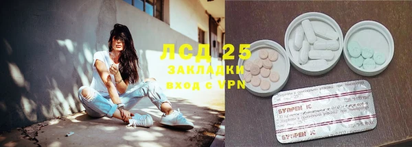 таблы Осинники