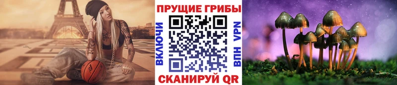 Псилоцибиновые грибы Magic Shrooms  где купить наркоту  Кочубеевское 